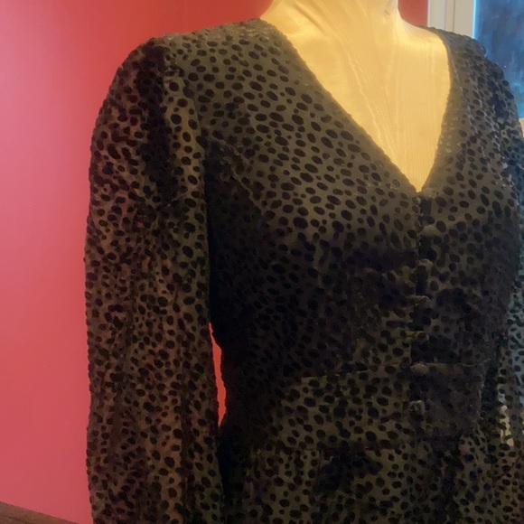 Boden Dalmatian Print Velvet Burnout Dolores Black Dress 6 - Picture 8 of 15